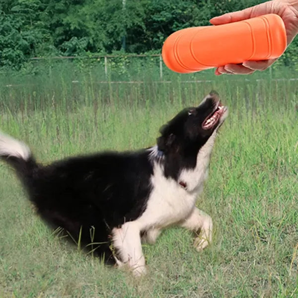 Dog flying disc toy