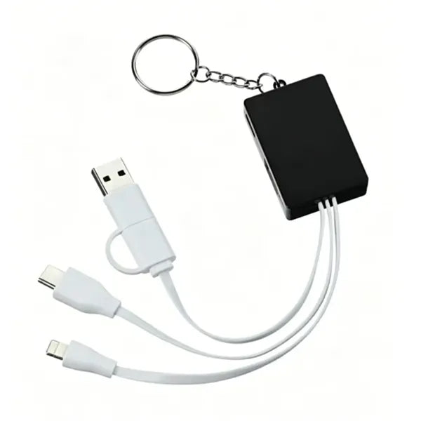 Link USB Hub Dduo Charging Cable-24hr