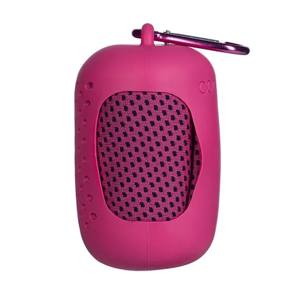 Cooling Towel with Carabiner Case