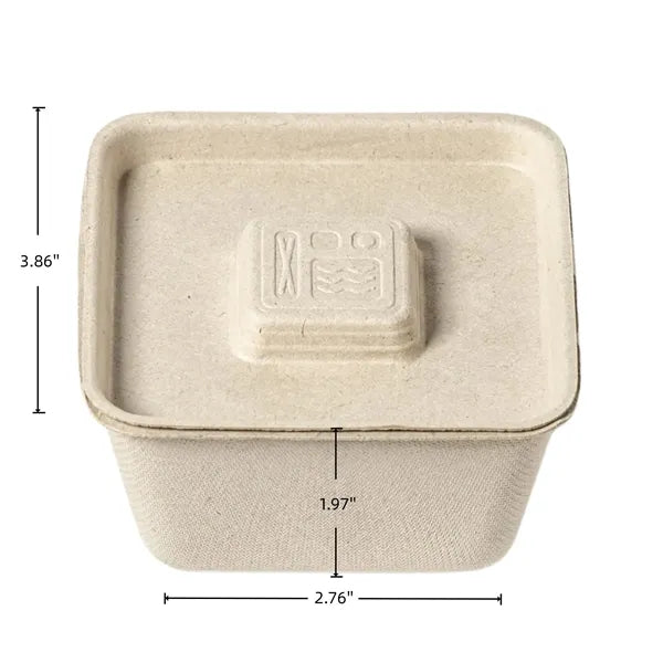 Eco Friendly Disposable Food Storage Box With Lid For Takeaw