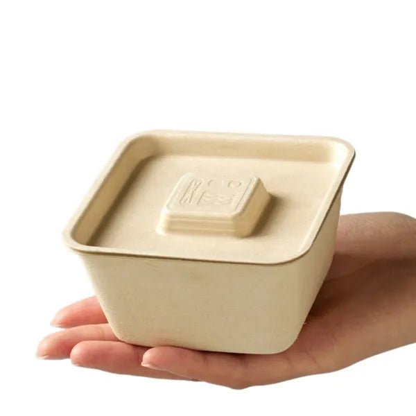 Eco Friendly Disposable Food Storage Box With Lid For Takeaw