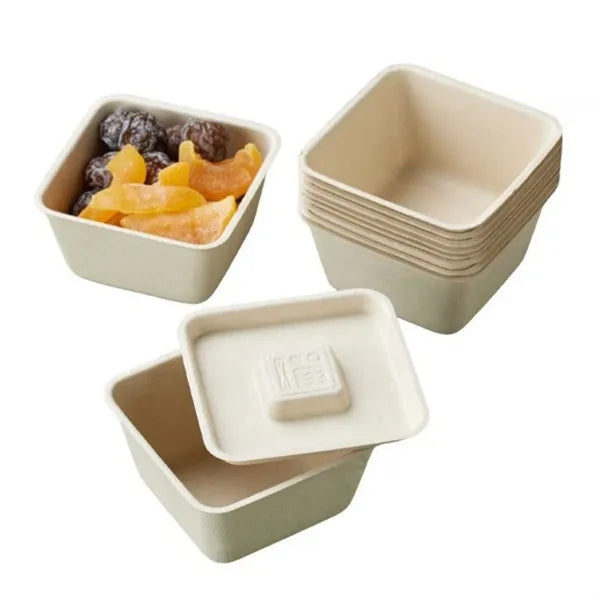 Eco Friendly Disposable Food Storage Box With Lid For Takeaw