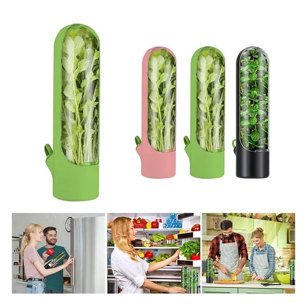 Herb Fresh-Keeping Box Vegetable Preservation Container
