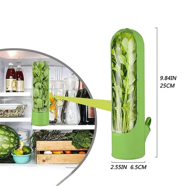 Herb Fresh-Keeping Box Vegetable Preservation Container