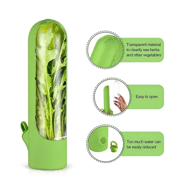 Herb Fresh-Keeping Box Vegetable Preservation Container