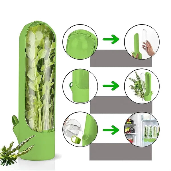 Herb Fresh-Keeping Box Vegetable Preservation Container