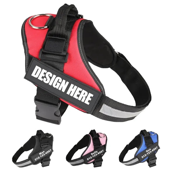 Pet Harness