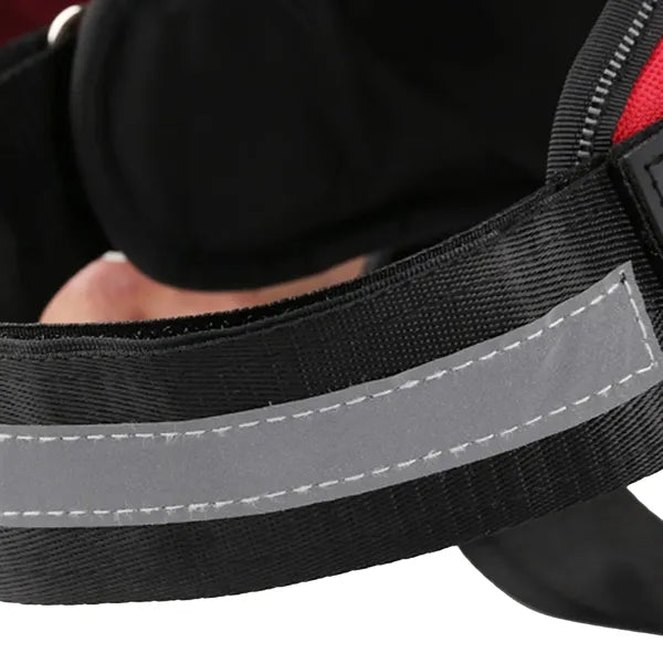Pet Harness