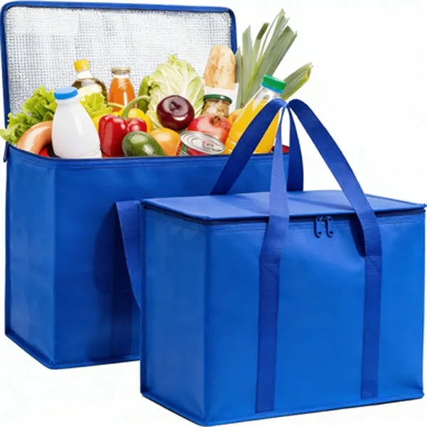 Large Capacity Foldable Outdoor Insulated Cooler Bag