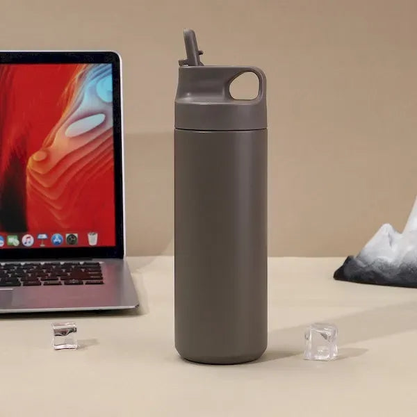 Stainless Steel Insulated Tumbler with Straw and Handle