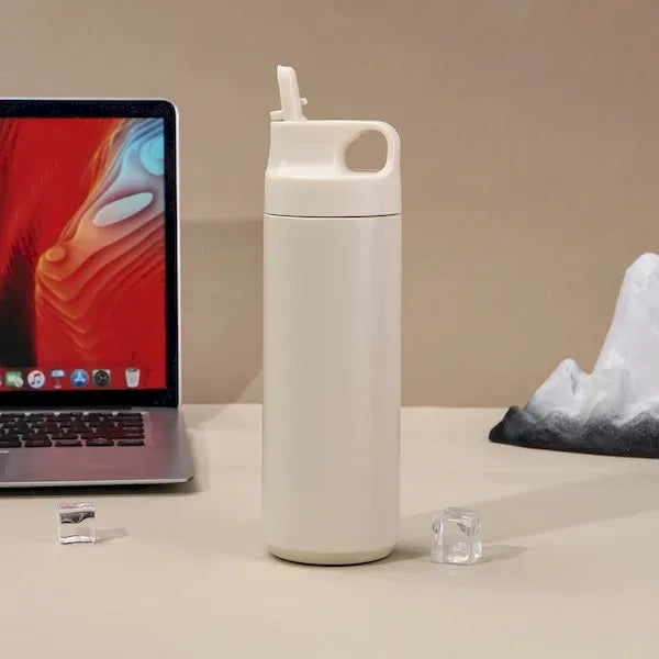 Stainless Steel Insulated Tumbler with Straw and Handle