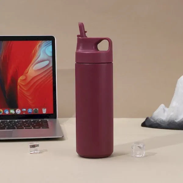 Stainless Steel Insulated Tumbler with Straw and Handle