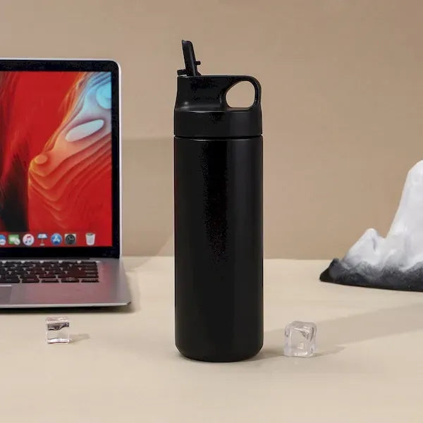 Stainless Steel Insulated Tumbler with Straw and Handle
