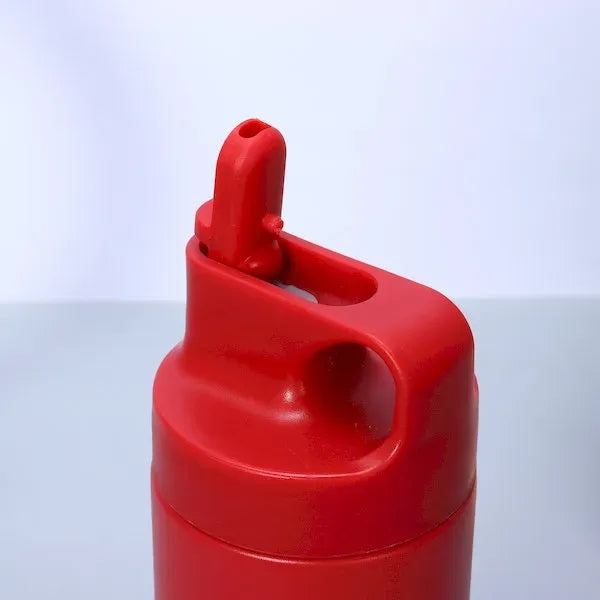 Stainless Steel Insulated Tumbler with Straw and Handle