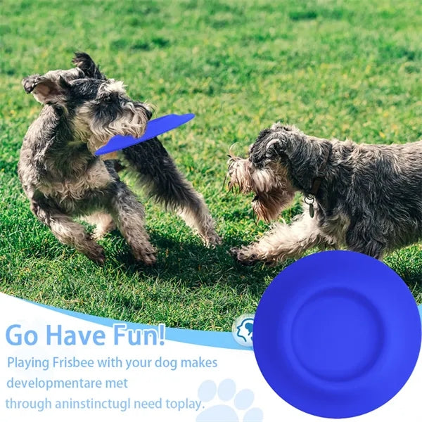 2 In 1 Flying Disc Pet Bowl