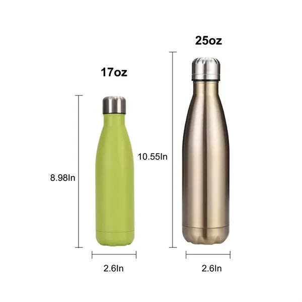17 oz stainless steel water bottle