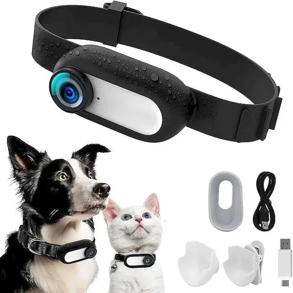 Pet Supplies Cat Dog Collar Camera Outdoor Sports Camera Vid
