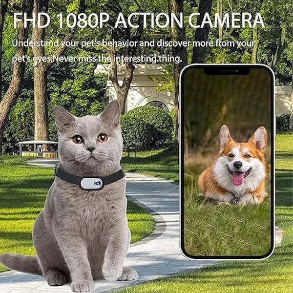 Pet Supplies Cat Dog Collar Camera Outdoor Sports Camera Vid