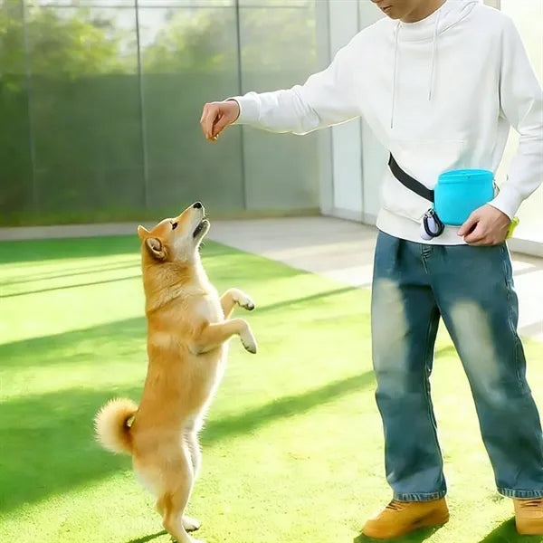 Silicone dog training waist bag