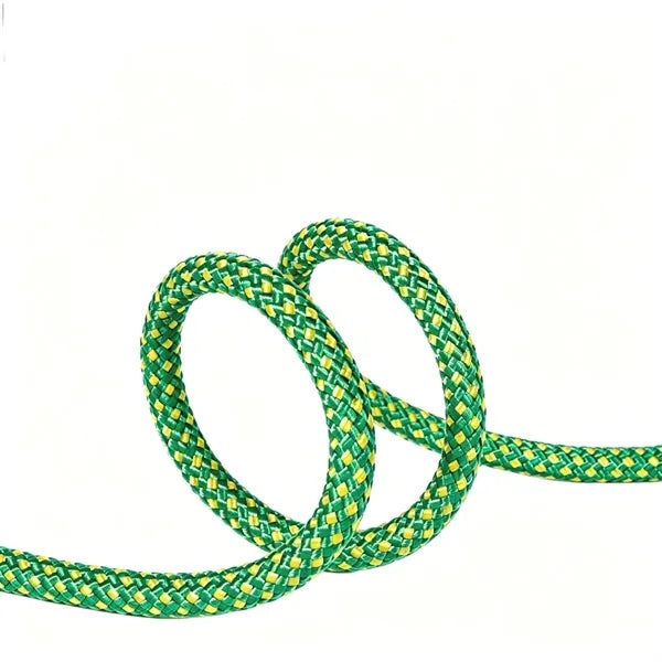 Dog Leash