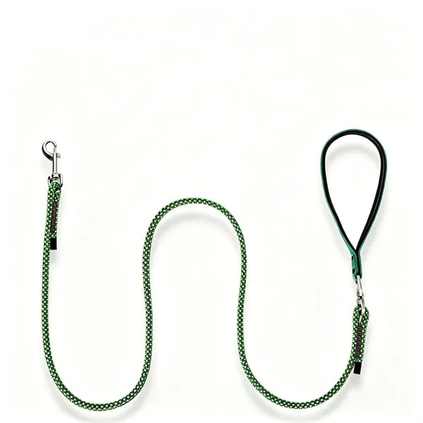 Dog Leash