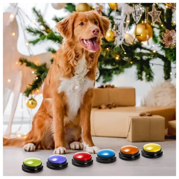 Dog Buttons for Communication