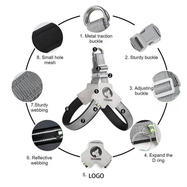Dog leash set