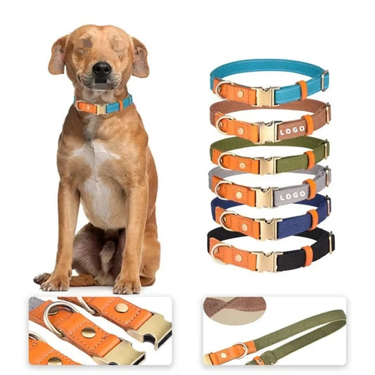 Dog Adjustable Collar