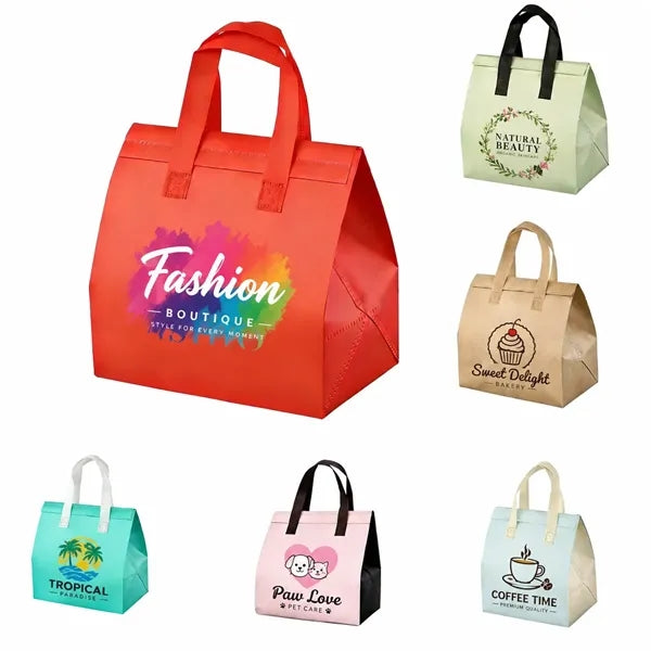 Insulated Lunch Carry Bag
