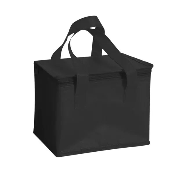 Portable Non Woven Insulated Lunch Picnic Bag