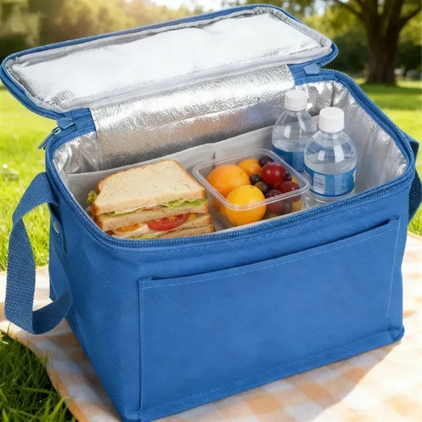 12 Cans Insulated Cooler Lunch Bag Zipper