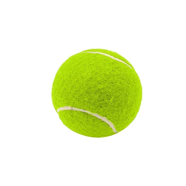 2.6 Inch Pet Tennis Ball for Dog Fetch & Play