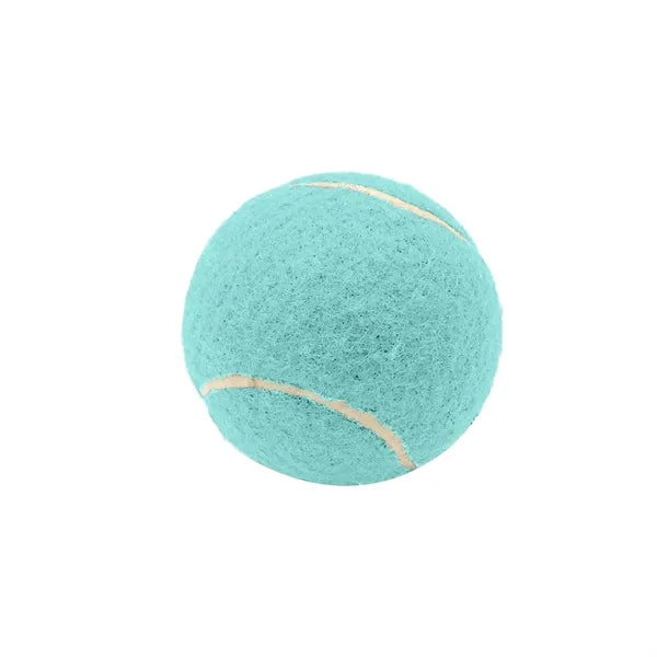 2.6 Inch Pet Tennis Ball for Dog Fetch & Play