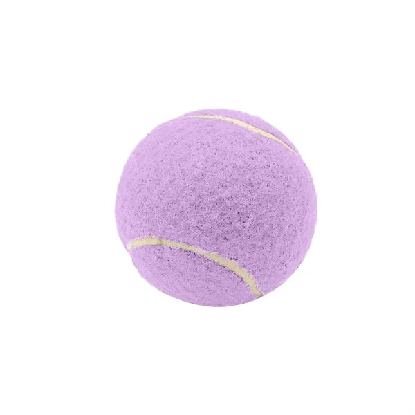 2.6 Inch Pet Tennis Ball for Dog Fetch & Play