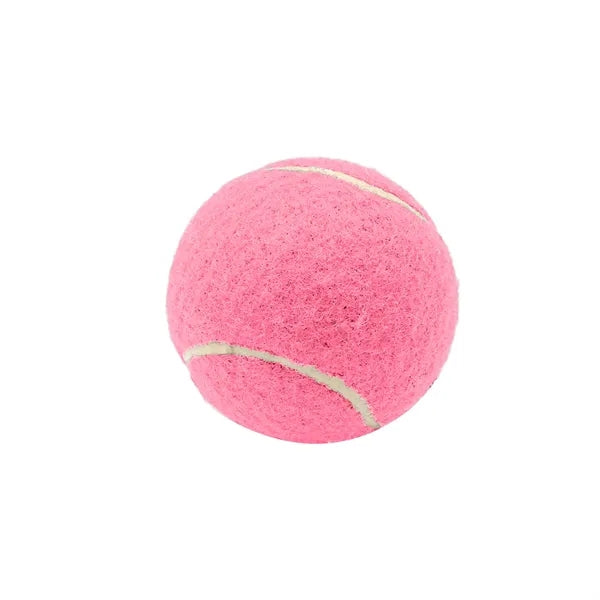 2.6 Inch Pet Tennis Ball for Dog Fetch & Play