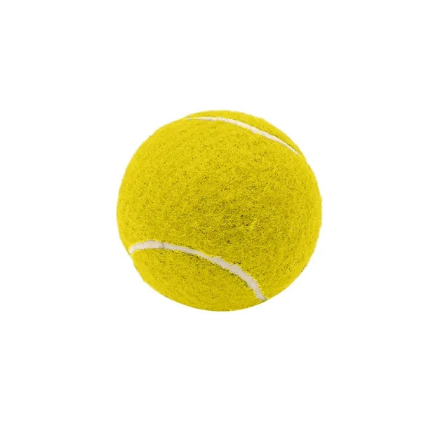 2.6 Inch Pet Tennis Ball for Dog Fetch & Play