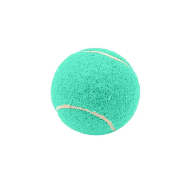 2.6 Inch Pet Tennis Ball for Dog Fetch & Play