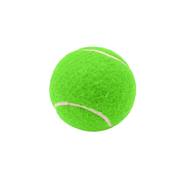 2.6 Inch Pet Tennis Ball for Dog Fetch & Play