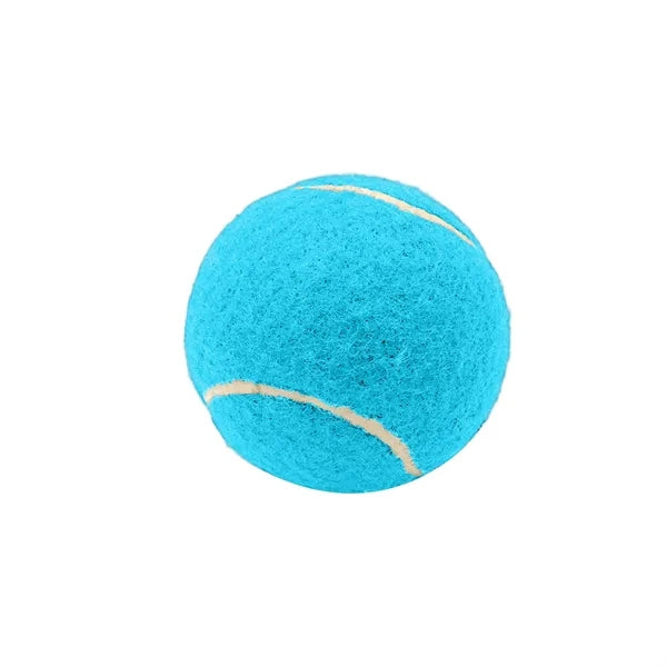 2.6 Inch Pet Tennis Ball for Dog Fetch & Play