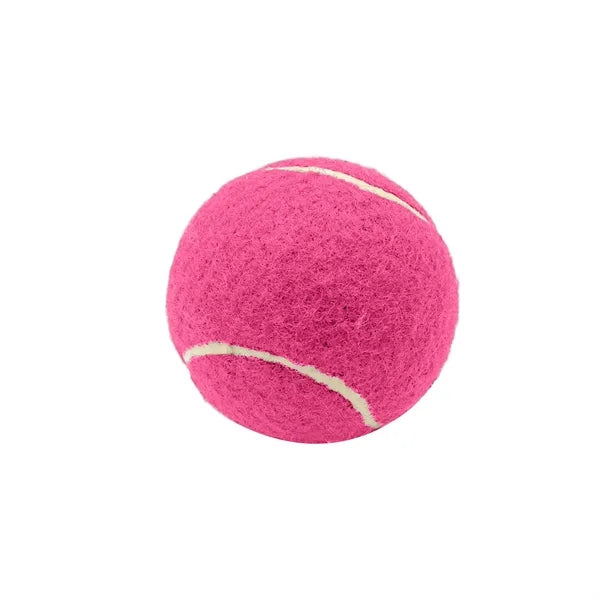 2.6 Inch Pet Tennis Ball for Dog Fetch & Play
