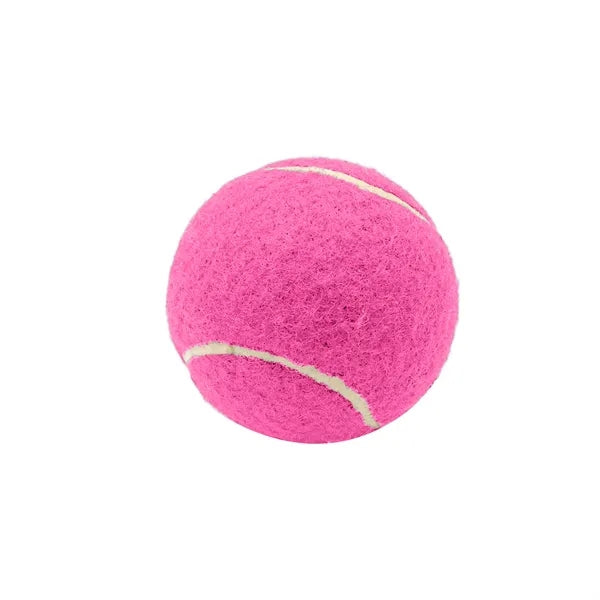 2.6 Inch Pet Tennis Ball for Dog Fetch & Play