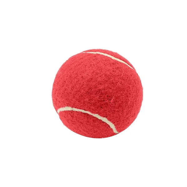 2.6 Inch Pet Tennis Ball for Dog Fetch & Play
