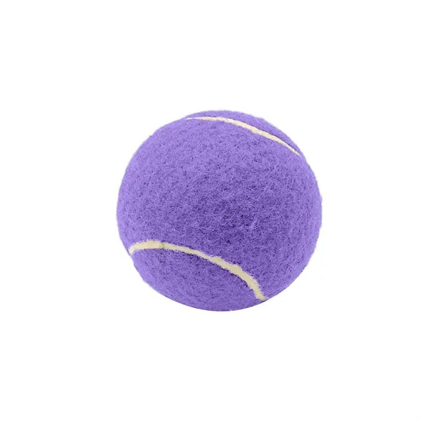 2.6 Inch Pet Tennis Ball for Dog Fetch & Play