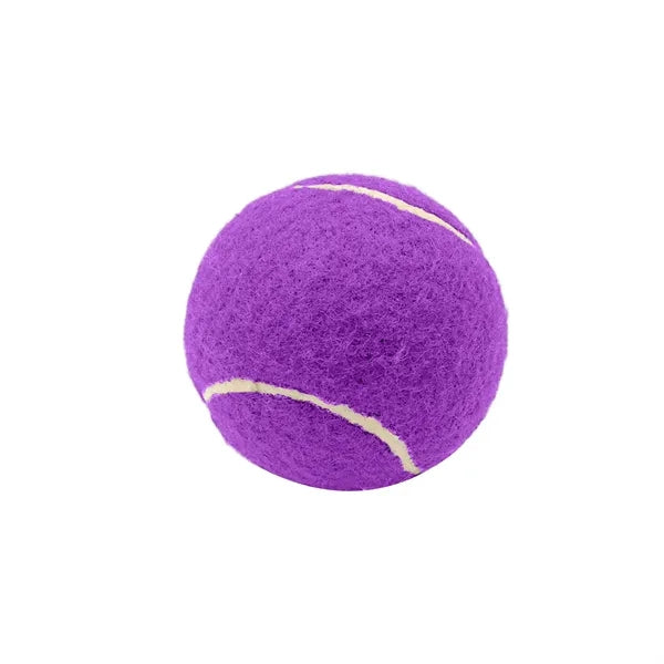 2.6 Inch Pet Tennis Ball for Dog Fetch & Play