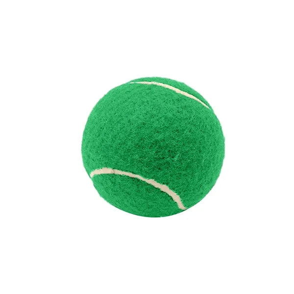 2.6 Inch Pet Tennis Ball for Dog Fetch & Play