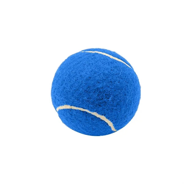 2.6 Inch Pet Tennis Ball for Dog Fetch & Play