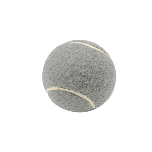 2.6 Inch Pet Tennis Ball for Dog Fetch & Play