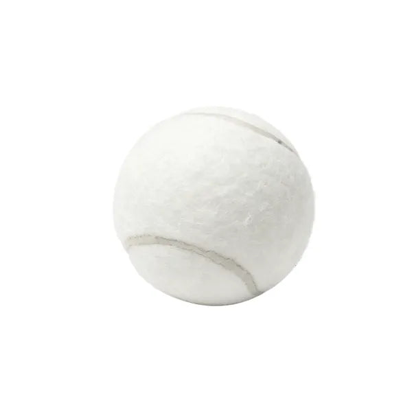2.6 Inch Pet Tennis Ball for Dog Fetch & Play
