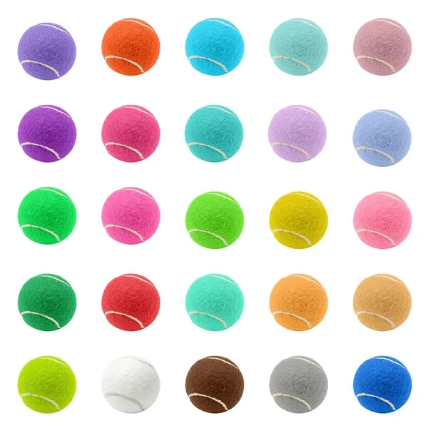 2.6 Inch Pet Tennis Ball for Dog Fetch & Play