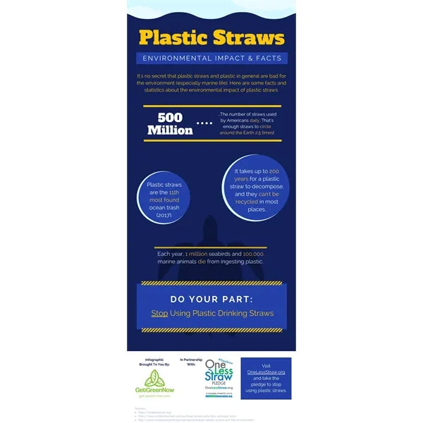 EcoSip 304 Stainless Travel Straw Kit